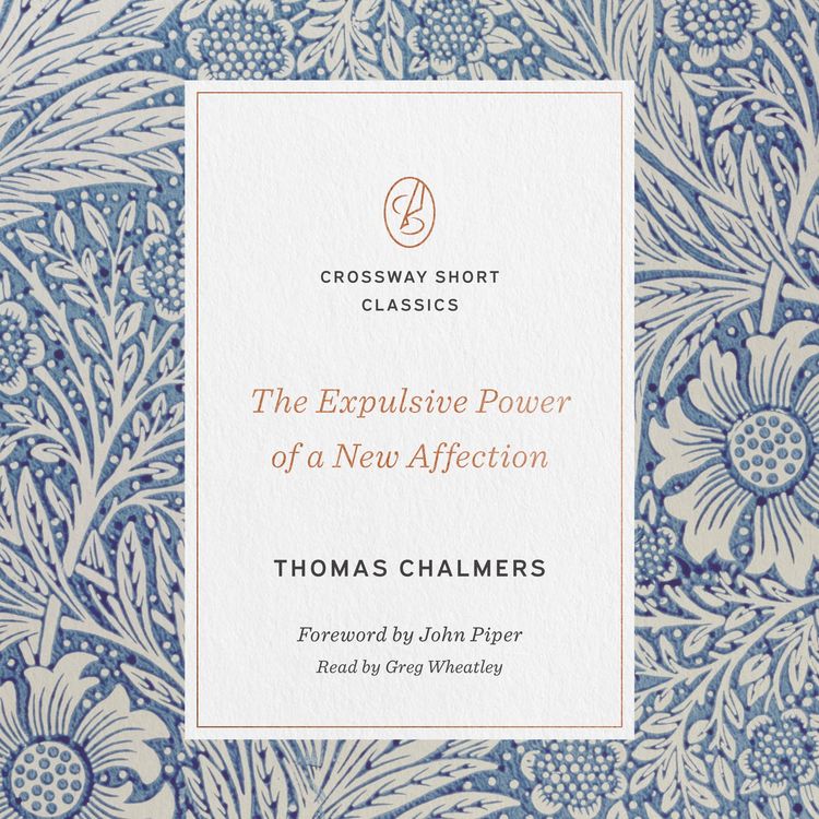 Produktbild: The Expulsive Power of a New Affection