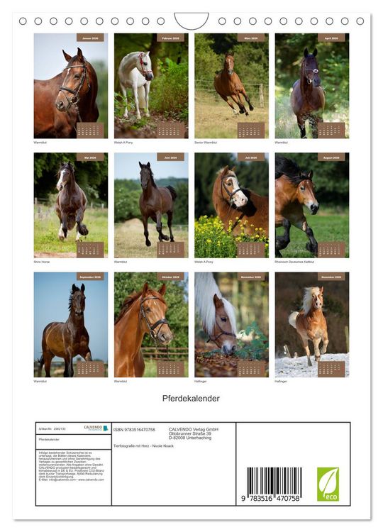 Produktbild: Pferdekalender (Wandkalender 2026 DIN A4 hoch), CALVENDO Monatskalender