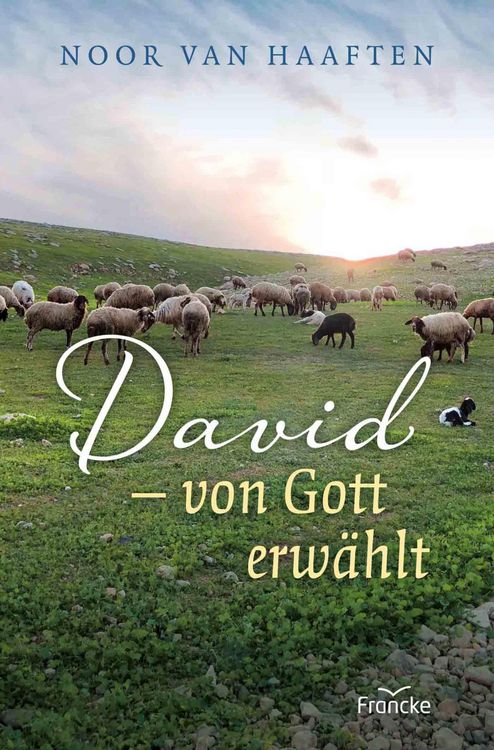 Produktbild: David - von Gott erw&auml;hlt
