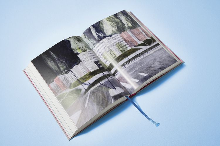 Produktbild: ZIEGEL #17