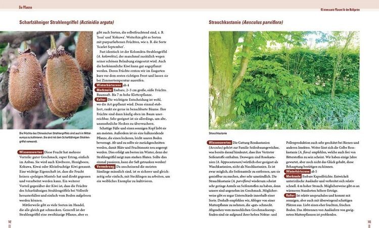 Produktbild: Praxisbuch Waldgarten