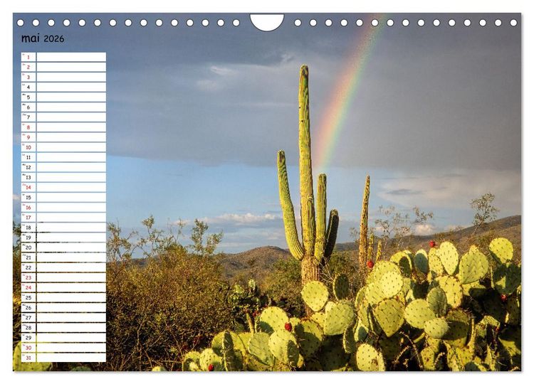 Produktbild: Arizona, une rencontre avec la nature (Calendrier mural 2026 DIN A4 vertical), CALVENDO calendrier mensuel