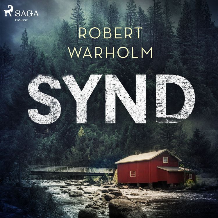 Produktbild: Synd