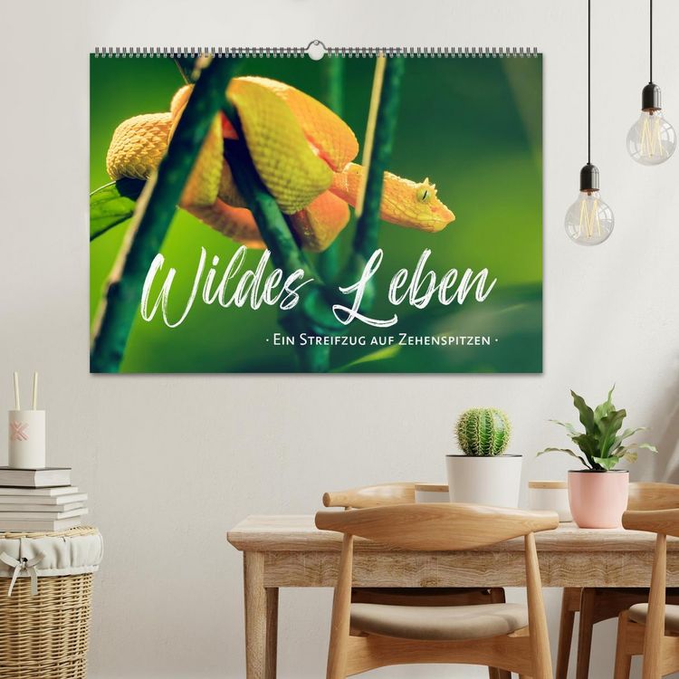 Produktbild: Wildes Leben - Ein Streifzug auf Zehenspitzen (Wandkalender 2026 DIN A2 quer), CALVENDO Monatskalender