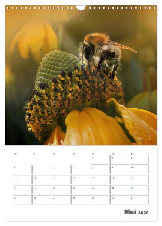 Produktbild: Helden in der Natur (Wandkalender 2026 DIN A3 hoch), CALVENDO Monatskalender