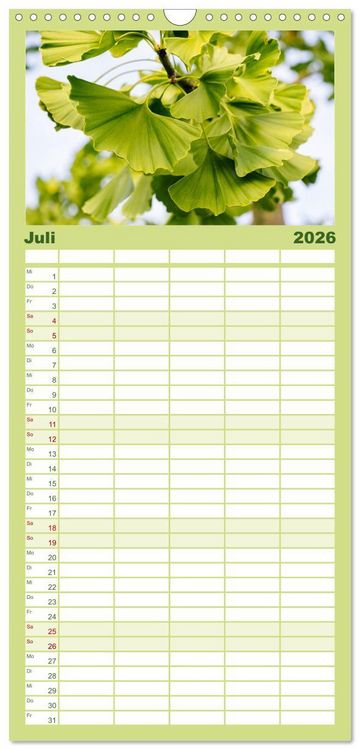 Produktbild: Familienplaner 2026 - Mit Ginkgo biloba durch das Jahr mit 5 Spalten (Wandkalender, 21 x 45 cm) CALVENDO
