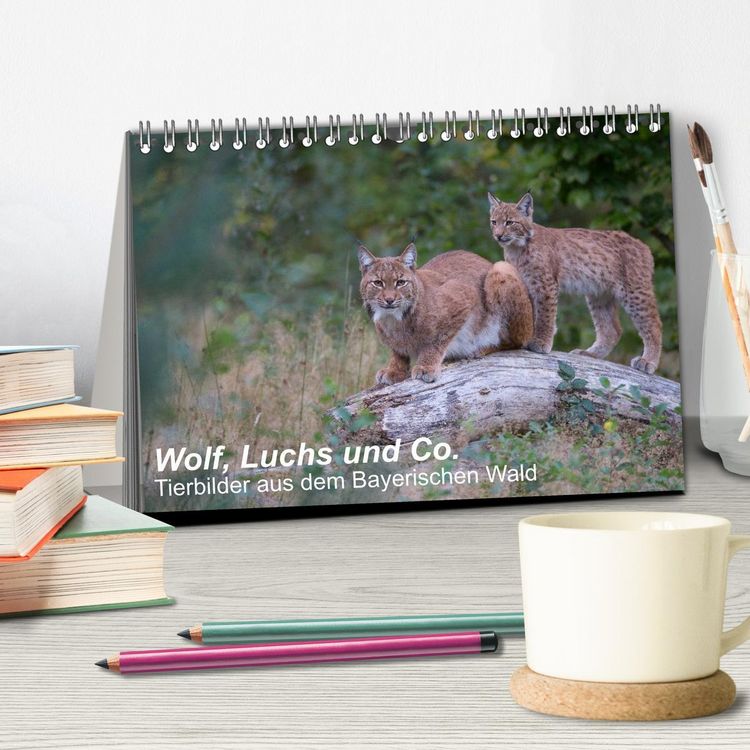Produktbild: Wolf, Luchs und Co. - Tierbilder aus dem Bayerischen Wald (Tischkalender 2026 DIN A5 quer), CALVENDO Monatskalender
