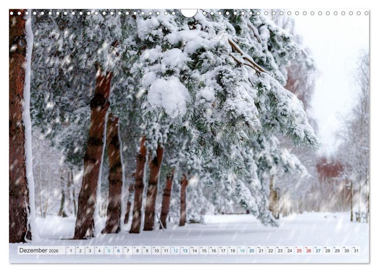 Produktbild: Mein Norderstedt (Wandkalender 2026 DIN A3 quer), CALVENDO Monatskalender