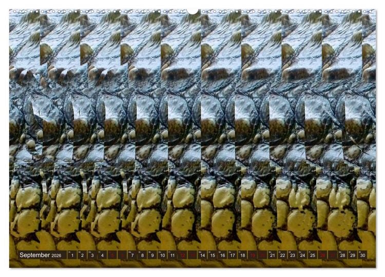 Produktbild: Magische Bilder - fantastische Stereogramme (hochwertiger Premium Wandkalender 2026 DIN A2 quer), Kunstdruck in Hochglanz