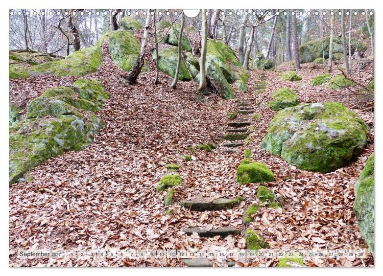 Produktbild: Blankenburg im Harz (Wandkalender 2027 DIN A3 quer), CALVENDO Monatskalender