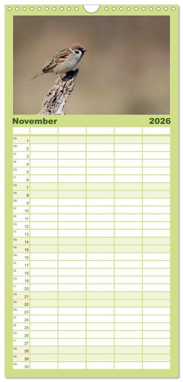 Produktbild: Familienplaner 2026 - V&ouml;gel mit 5 Spalten (Wandkalender, 21 x 45 cm) CALVENDO