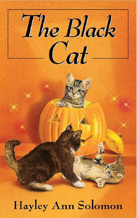 Produktbild: The Black Cat