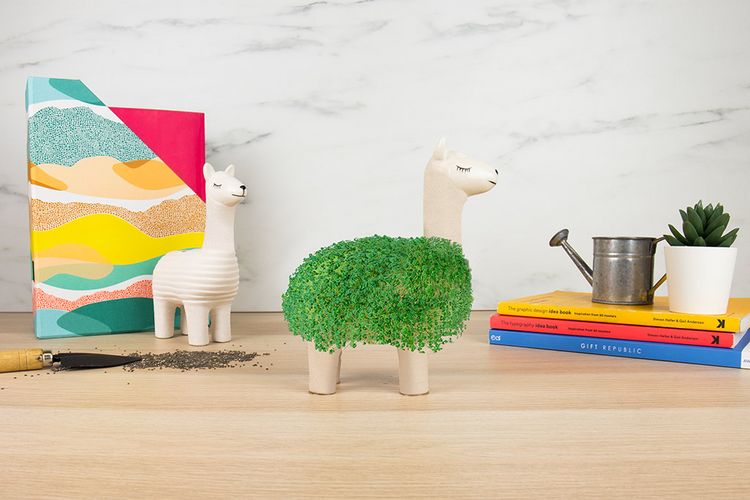 Produktbild: Llama Pflanztier Pflanzen-Set