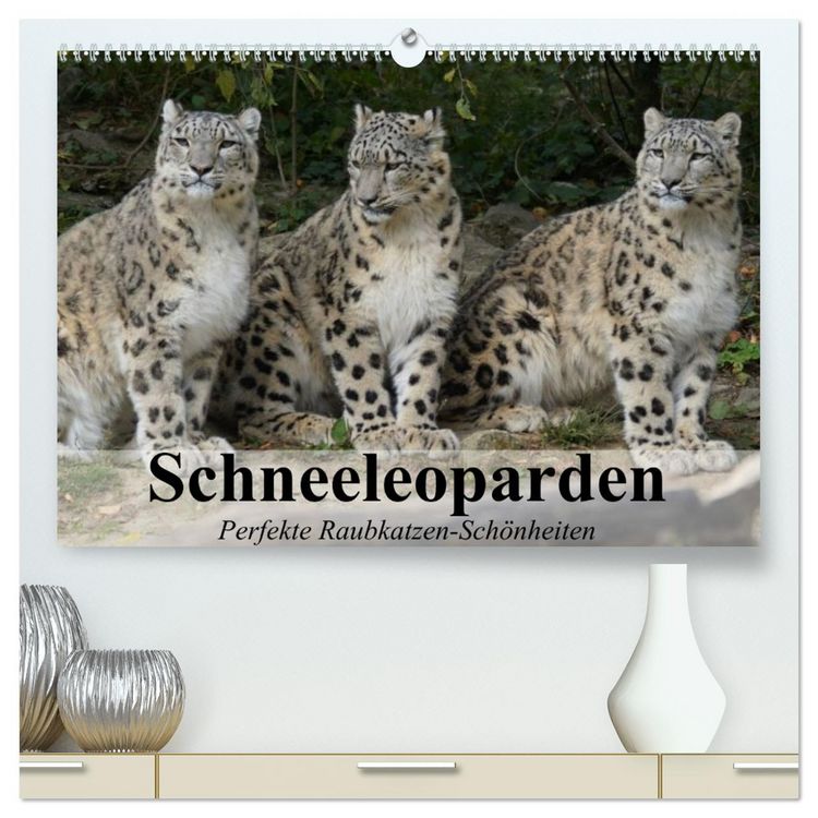 Produktbild: Schneeleoparden. Perfekte Raubkatzen-Sch&ouml;nheiten (hochwertiger Premium Wandkalender 2026 DIN A2 quer), Kunstdruck in Hochglanz