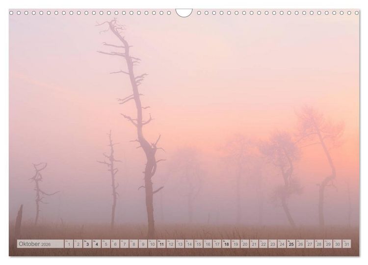 Produktbild: Moore und B&auml;che in Eifel und Ardennen (Wandkalender 2026 DIN A3 quer), CALVENDO Monatskalender