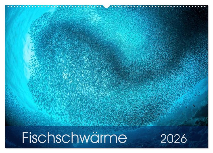 Produktbild: Fischschw&auml;rme (Wandkalender 2026 DIN A2 quer), CALVENDO Monatskalender