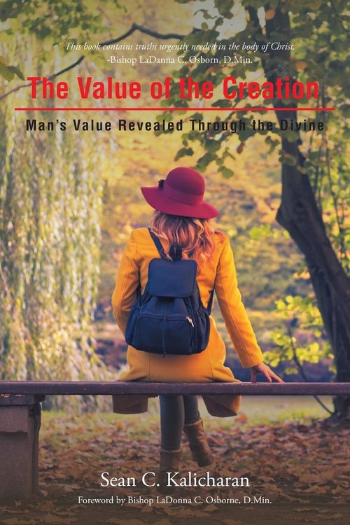 Produktbild: The Value of the Creation