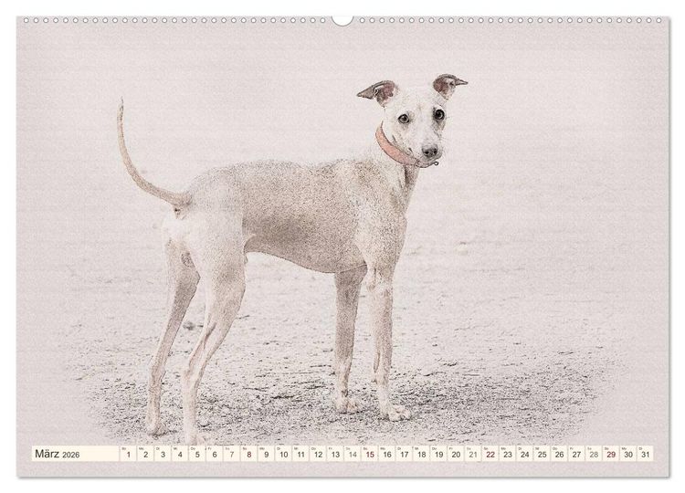 Produktbild: Windspiele 2026 (hochwertiger Premium Wandkalender 2026 DIN A2 quer), Kunstdruck in Hochglanz