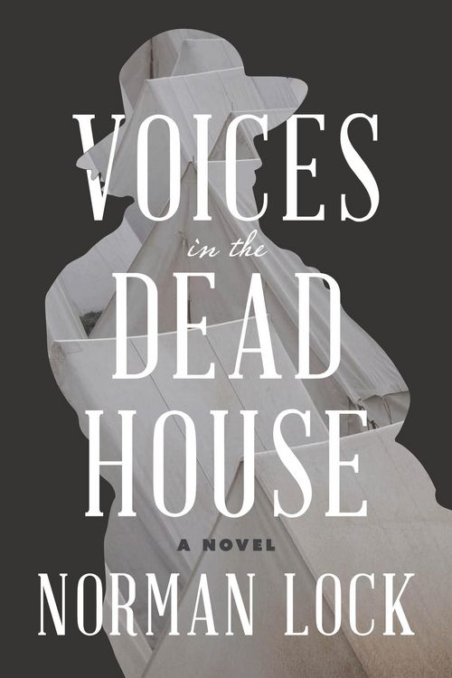 Produktbild: Voices in the Dead House