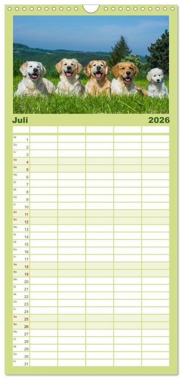 Produktbild: Familienplaner 2026 - Das Gl&uuml;ck hat einen Namen - Golden Retriever mit 5 Spalten (Wandkalender, 21 x 45 cm) CALVENDO