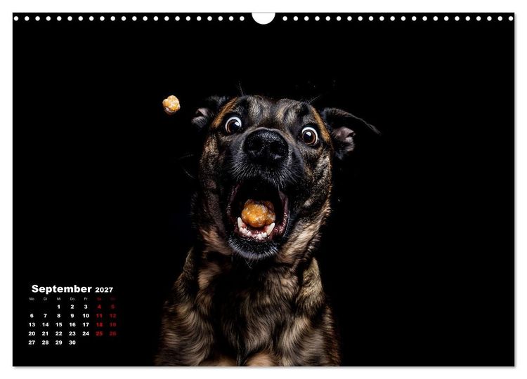Produktbild: Leckerchen! (Wandkalender 2027 DIN A3 quer), CALVENDO Monatskalender