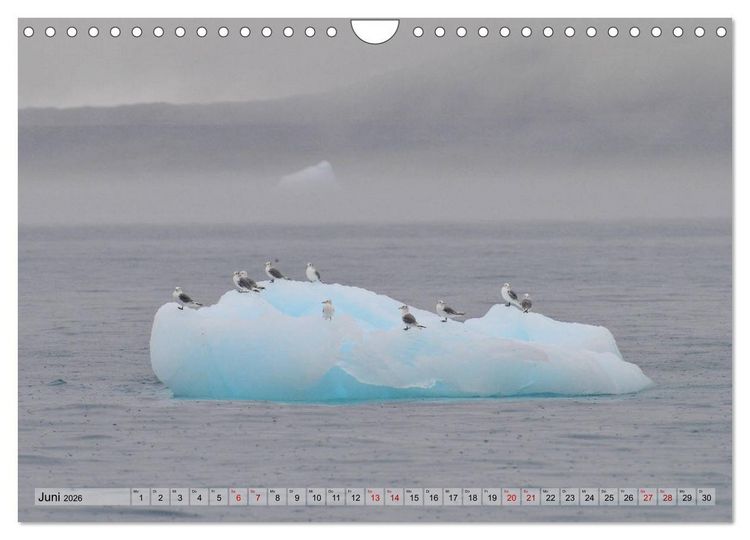 Produktbild: Gr&ouml;nland: Eisberge in der Disko Bucht (Wandkalender 2026 DIN A4 quer), CALVENDO Monatskalender