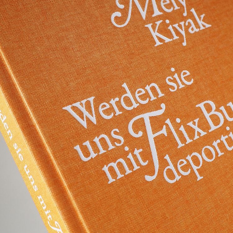 Produktbild: Werden sie uns mit FlixBus deportieren?