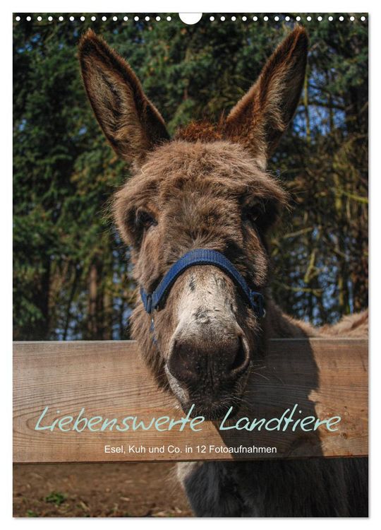 Produktbild: Liebenswerte Landtiere (Wandkalender 2026 DIN A3 hoch), CALVENDO Monatskalender