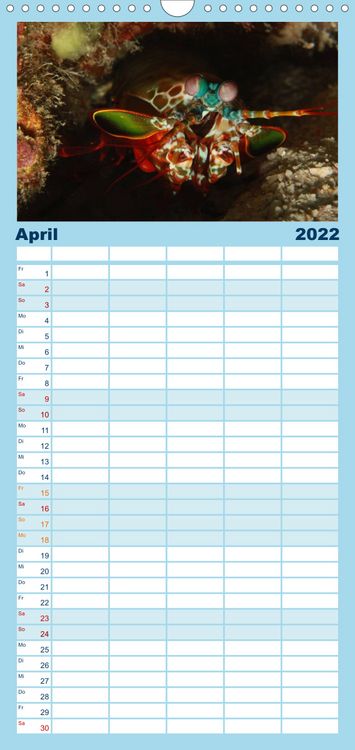 Produktbild: Tauchen, Fische und Meer - Familienplaner hoch (Wandkalender 2022 , 21 cm x 45 cm, hoch)
