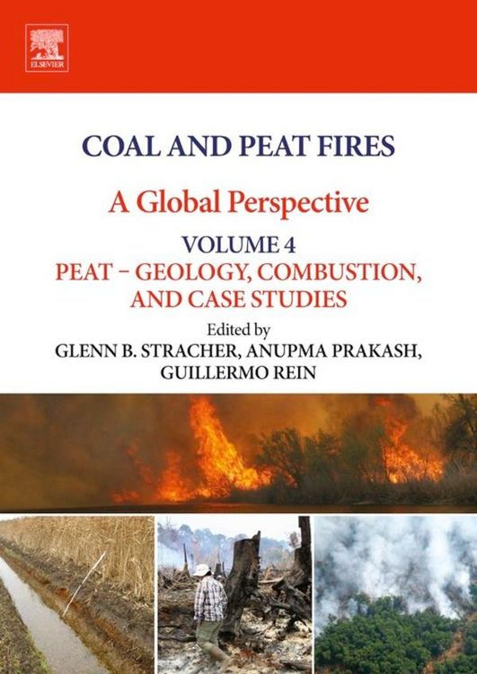 Produktbild: Coal and Peat Fires: A Global Perspective