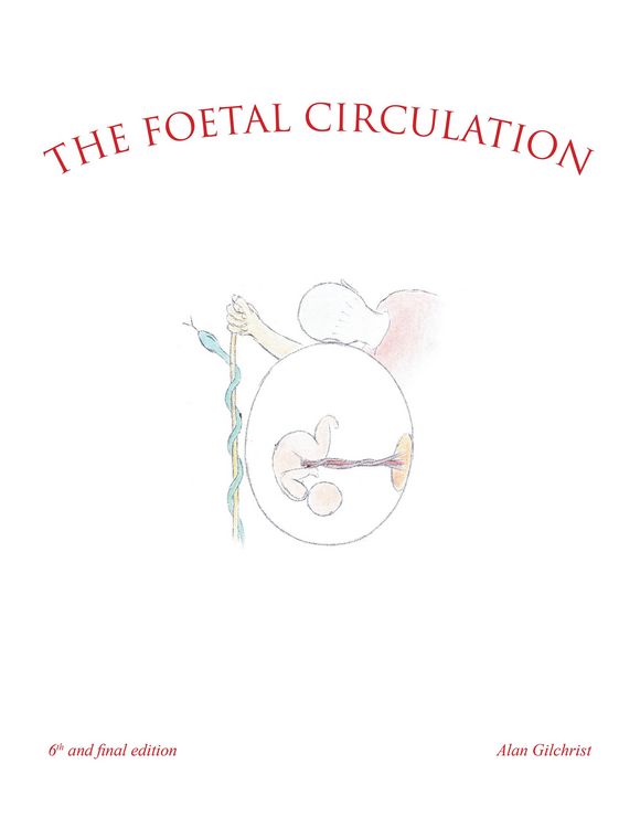 Produktbild: The Foetal Circulation