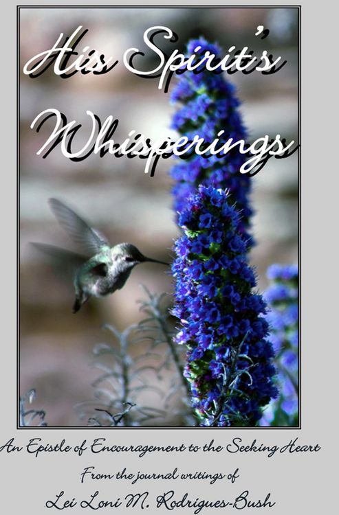 Produktbild: His Spirit's Whisperings: An Epistle of Encouragement for the Seeking Heart