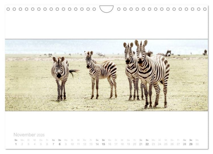 Produktbild: Serengeti Panorama (Wandkalender 2026 DIN A4 quer), CALVENDO Monatskalender