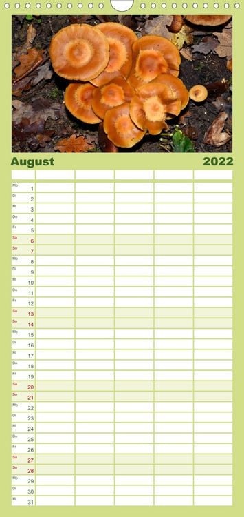 Produktbild: Familienplaner Pilze, Pilze (Wandkalender 2022 , 21 cm x 45 cm, hoch)