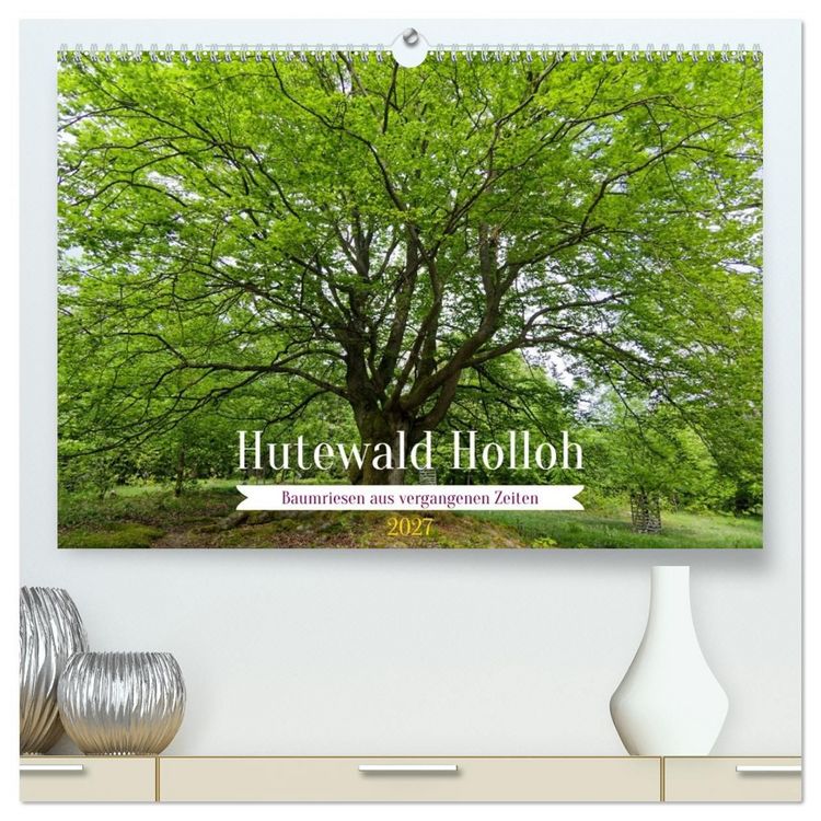Produktbild: Hutewald Halloh - Baumriesen aus vergangenen Zeiten (hochwertiger Premium Wandkalender 2027 DIN A2 quer), Kunstdruck in Hochglanz