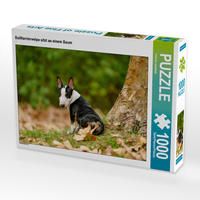Produktbild: CALVENDO Puzzle Bulllterrierwelpe sitzt an einem Baum | 1000 Teile Lege-Gr&ouml;&szlig;e 64x48cm Foto-Puzzle f&uuml;r gl&uuml;ckliche Stunden