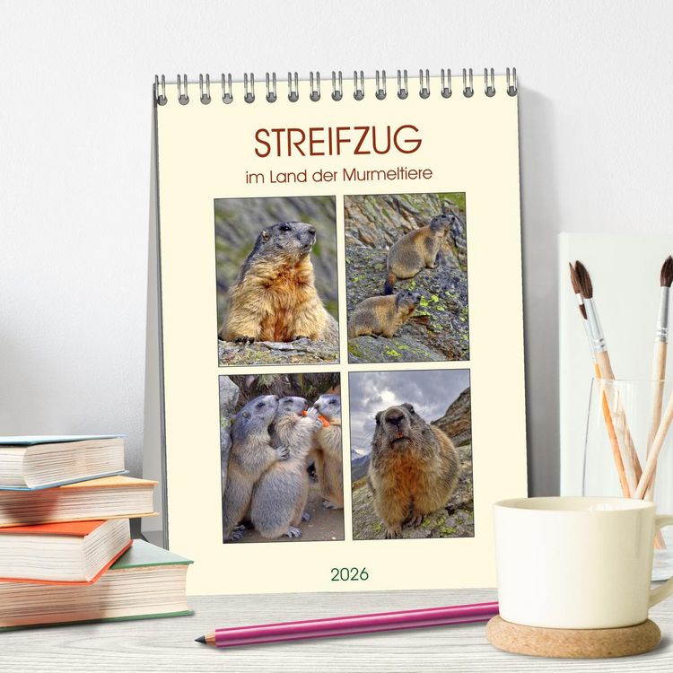 Produktbild: STREIFZUG im Land der Murmeltiere (Tischkalender 2026 DIN A5 hoch), CALVENDO Monatskalender