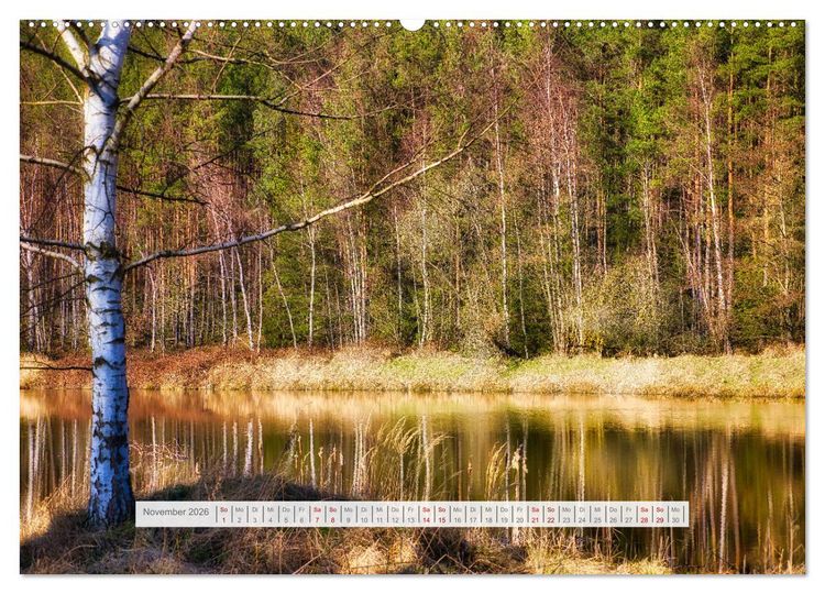 Produktbild: Die Sch&ouml;nheit des Th&uuml;ringer Waldes (Wandkalender 2026 DIN A2 quer), CALVENDO Monatskalender