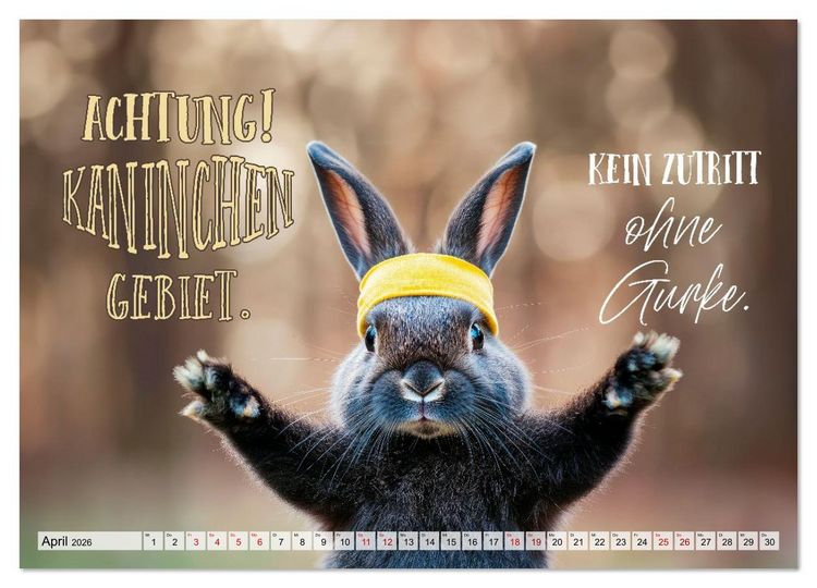 Produktbild: KANINCHEN Mit Humor durchs Jahr (Wandkalender 2026 DIN A3 quer), CALVENDO Monatskalender