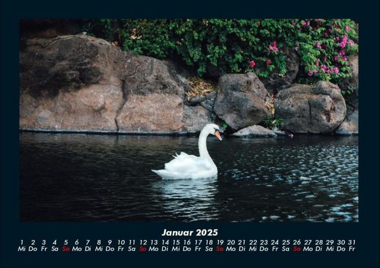 Produktbild: Die Seen der Erde 2025 Fotokalender DIN A4