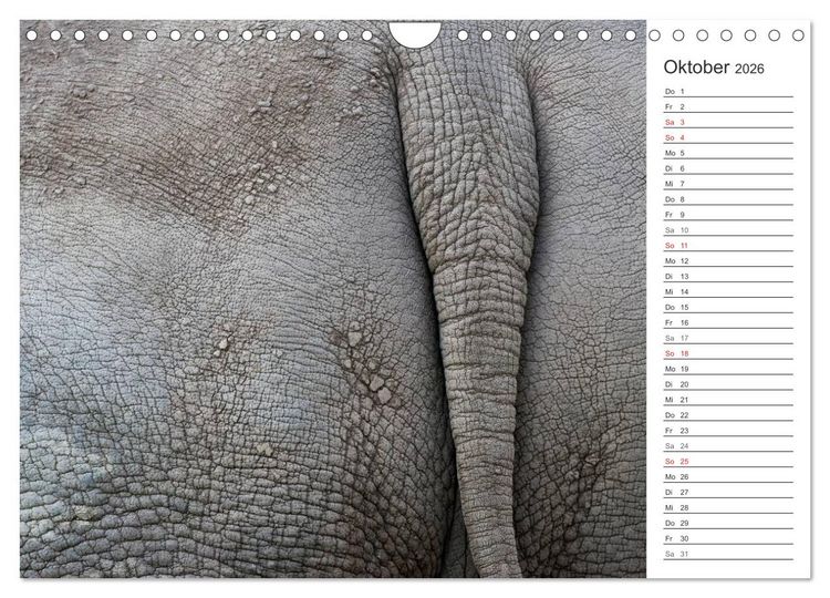 Produktbild: Emotionale Momente: Nash&ouml;rner (Wandkalender 2026 DIN A4 quer), CALVENDO Monatskalender