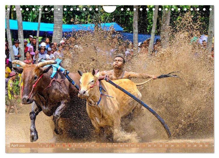Produktbild: Erinnerungen an Asien (Wandkalender 2026 DIN A4 quer), CALVENDO Monatskalender