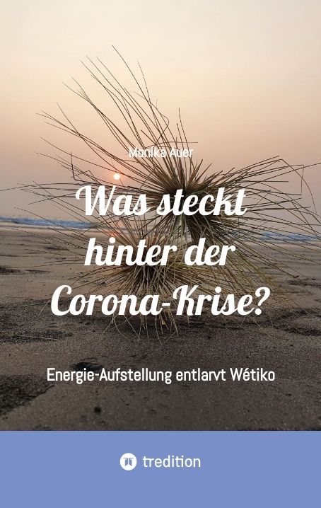 Produktbild: Was steckt hinter der Corona-Krise?