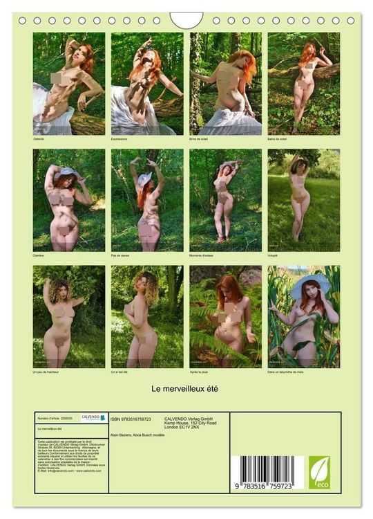 Produktbild: Le merveilleux &eacute;t&eacute; (Calendrier mural 2027 DIN A4 horizontal), CALVENDO calendrier mensuel