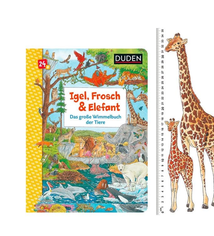 Produktbild: Duden 24+: Igel, Frosch & Elefant: Das gro&szlig;e Wimmelbuch der Tiere