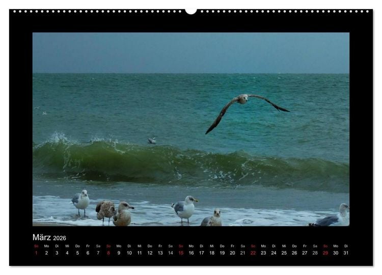 Produktbild: An der Nordsee (hochwertiger Premium Wandkalender 2026 DIN A2 quer), Kunstdruck in Hochglanz
