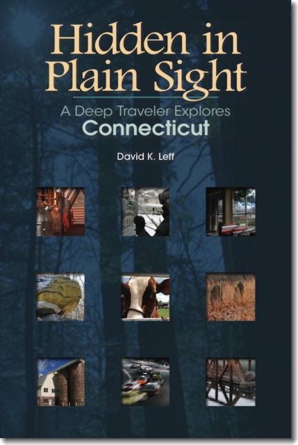 Produktbild: Hidden in Plain Sight