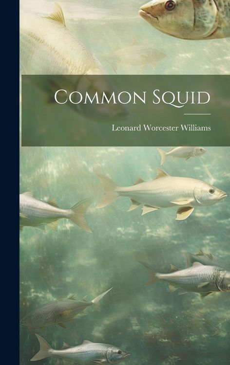 Produktbild: Common Squid