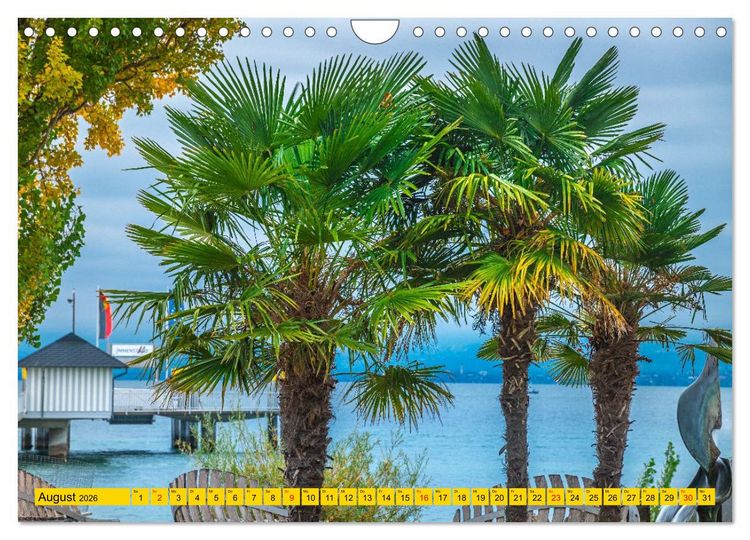 Produktbild: Immenstaad am sch&ouml;nen Bodensee (Wandkalender 2026 DIN A4 quer), CALVENDO Monatskalender