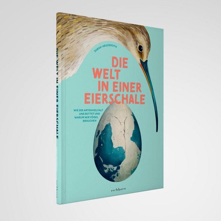 Produktbild: Die Welt in einer Eierschale